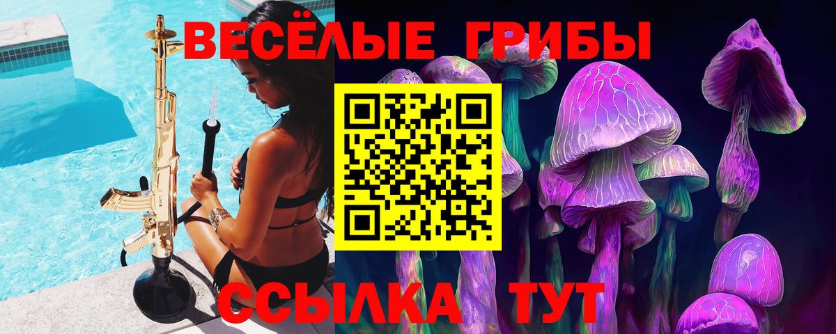 Прокопьевск  Псилоцибиновые грибы мицелий  Вход с VPN 