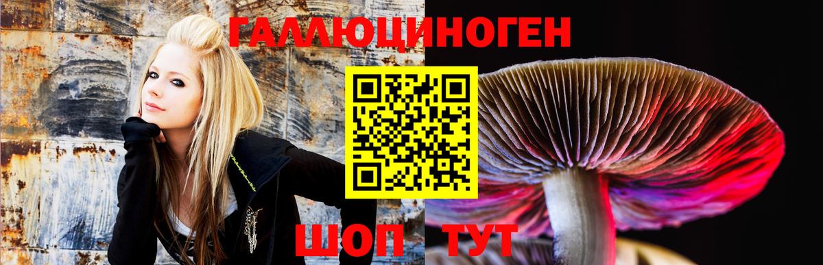 Галлюциногенные грибы ЛСД Прокопьевск